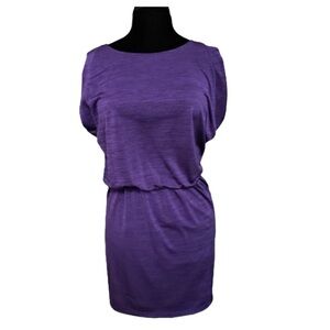 The Limited Purple Dress S